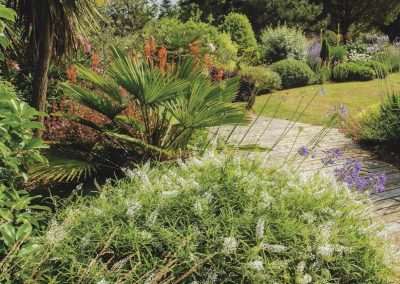 Image vedette d'un jardin réalisé par Clare Obéron dans le Magasin, L'art des Jardins, pour l'article "Climat Océanique Septentrional"
