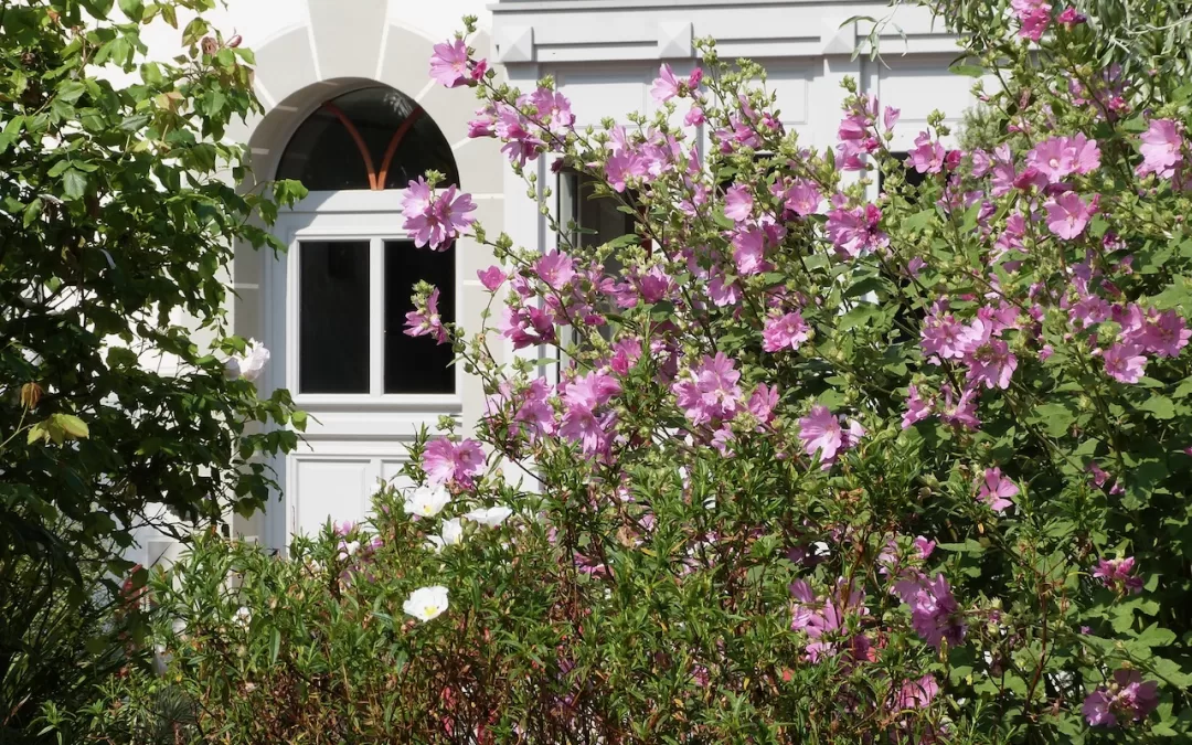 Un îlot de verdure en plein centre de Dinard